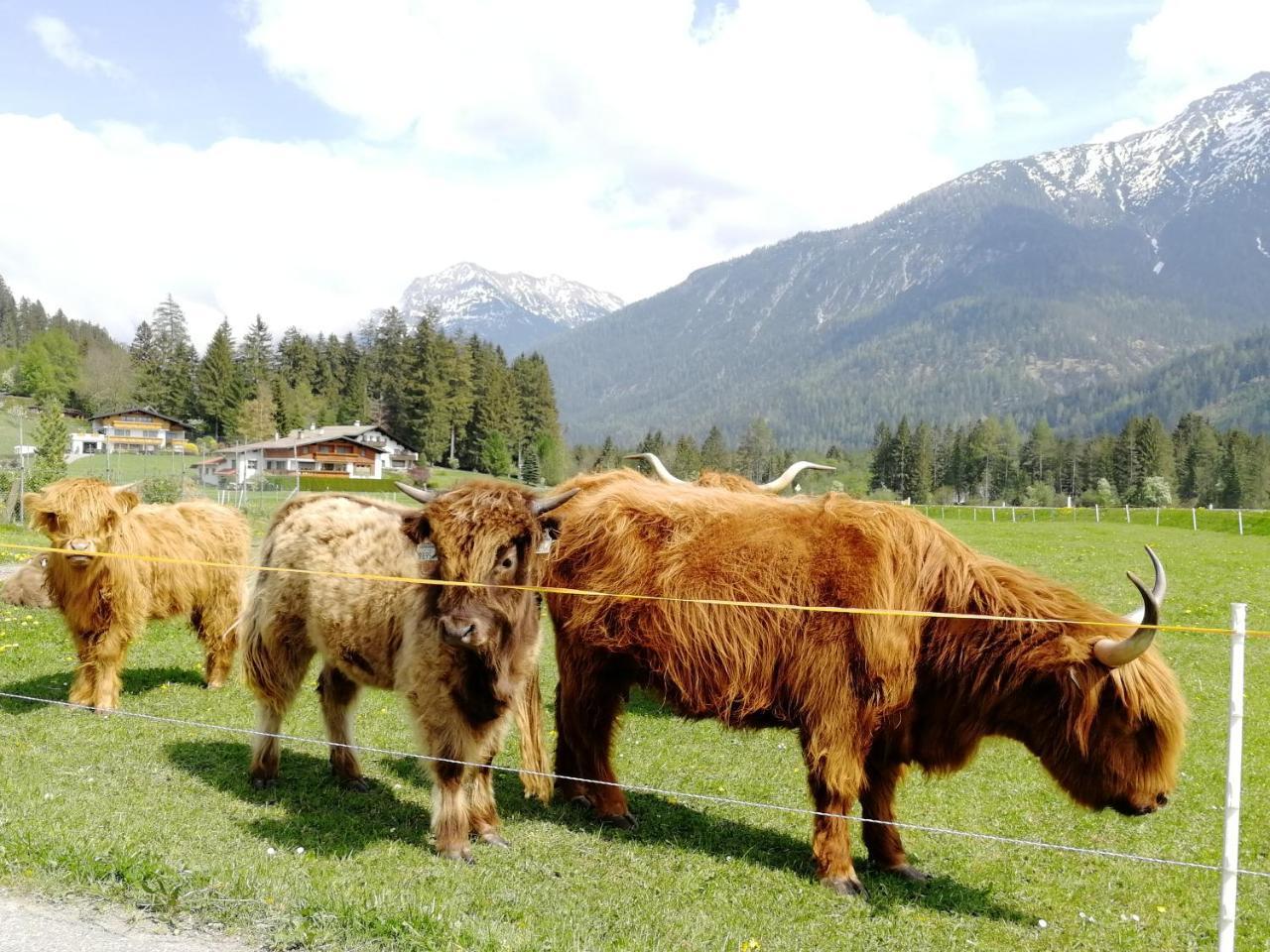 Camping Lechtal Vorderhornbach Exteriér fotografie