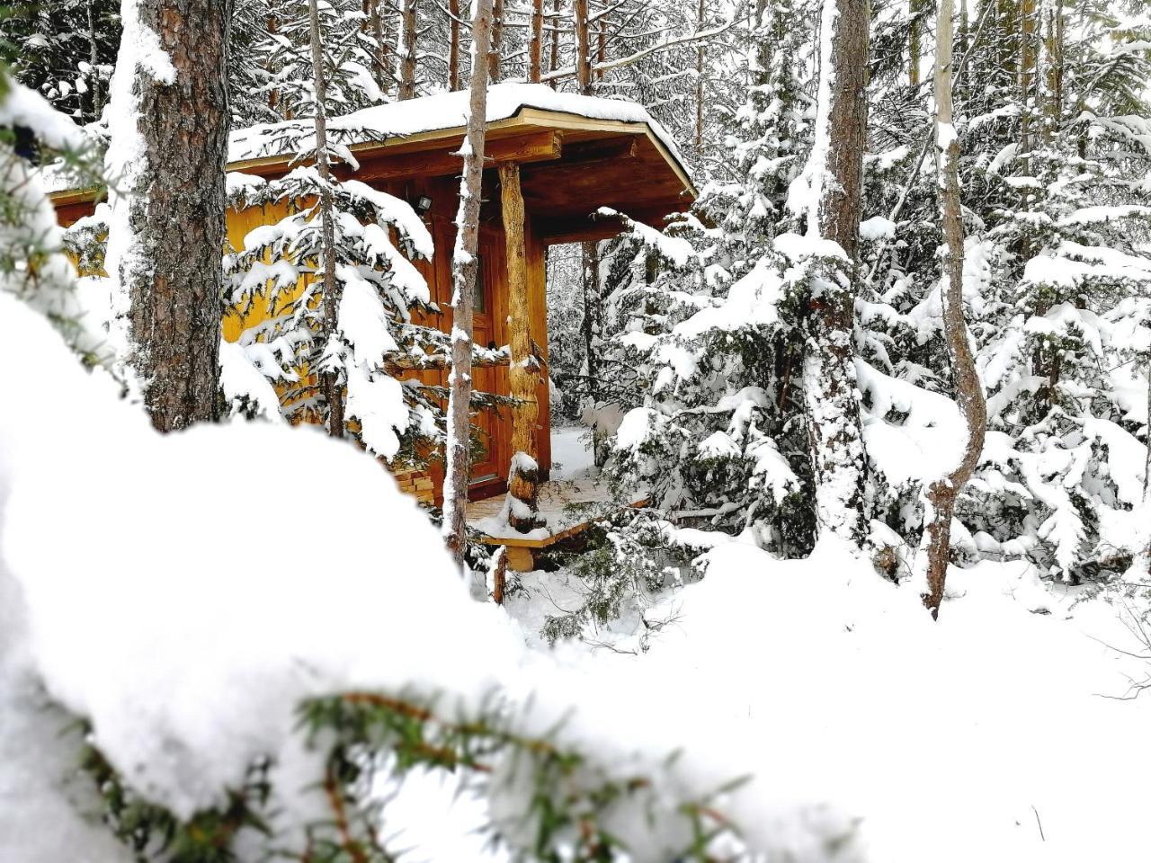 Camping Lechtal Vorderhornbach Exteriér fotografie